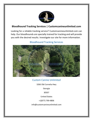 Bloodhound Tracking Services | Customcanineunlimited.com