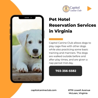 Pet Hotel Reservation Services in Virginia
