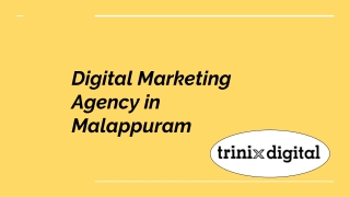 Digital Marketing Agency in Malappuram