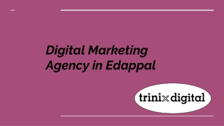Digital Marketing Agency in Edappal