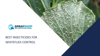 Best Insecticides for Whiteflies Control in NZ