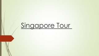 Get the Variety of Choices and Plan the Perfect Singapore Tour