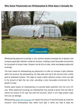 Why are some polytunnels whitewashed and what does it do