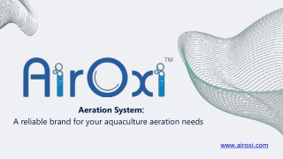 Aeration system that is a reliable method for your aquaculture aeration needs (1)