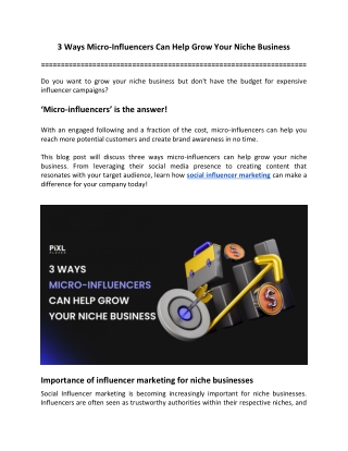 3 Ways Micro Influencers Can Help Grow Your Niche Business