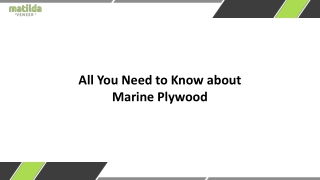 All You Need to Know about Marine Plywood_