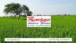 International Agriculture Consulting in Tamilnadu