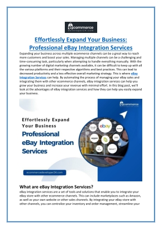 Effortlessly Expand Your Business Professional eBay Integration Services