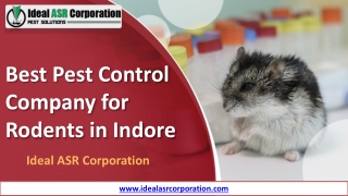 Best Pest Control Company for Rodents in Indore – Ideal ASR