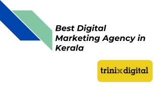 Best Digital Marketing Agency in Kerala
