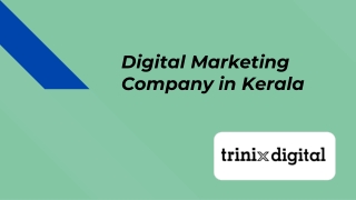 Digital Marketing Company in Kerala
