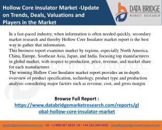 Hollow Core Insulator Market