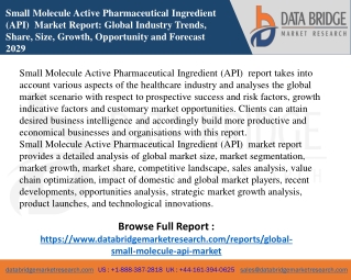 Small Molecule Active Pharmaceutical Ingredient (API)  Market