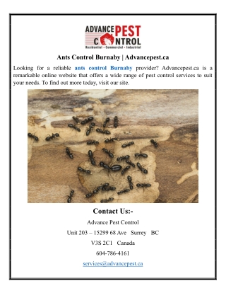 Ants Control Burnaby | Advancepest.ca