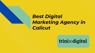 Best Digital Marketing Agency in Calicut