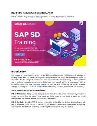 How the modules function under SAP SD.docx
