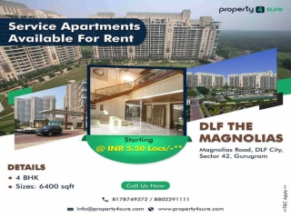 Service Apartment for Rent in Gurgaon - DLF Magnolias