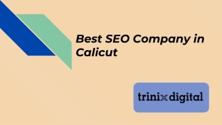 Best SEO Company in Calicut