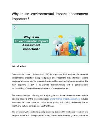 Why is an environmental impact assessment important?