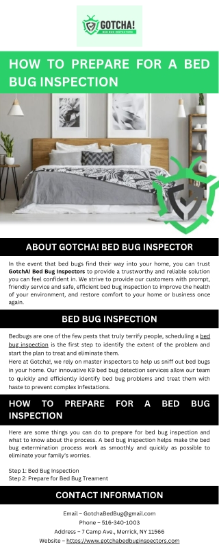 How To Prepare for a Bed Bug Inspection