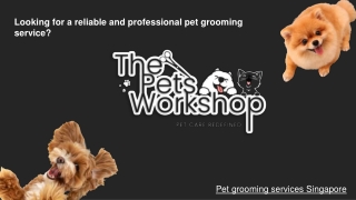 Looking for a reliable and professional pet grooming service