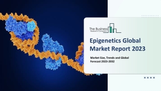 Epigenetics Market Price, Trends, Growth And Forecast To 2032