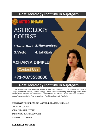 Best Astrology Institute in Najafgarh  91-9873530830