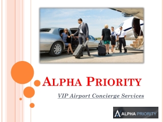 VIP Airport Concierge Services- Airport Gate Greeters
