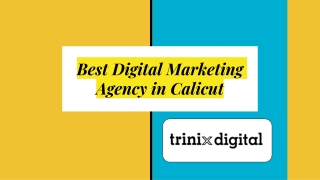 Best Online Business Development Agency in Calicut