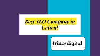 Best SEO Company in Calicut