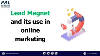 Lead Magnet and its use in online marketing