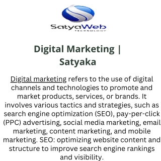 Digital Marketing  Satyaka