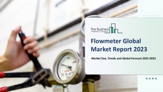 Flowmeter Market
