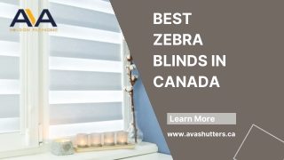 Best  Zebra Blinds In Canada