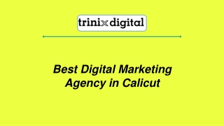 Best Digital Marketing Agency in Calicut