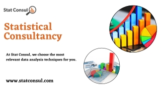 Statistical Consultancy