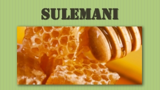 Get to Know Sulemani Matab's Sidr Honey - Sulemani
