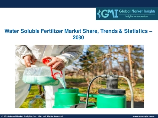 Water Soluble Fertilizer Market Share, Trends & Statistics – 2030