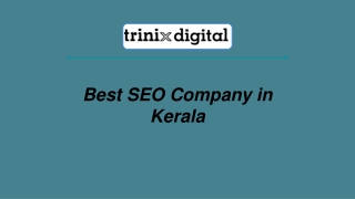 Best SEO Company in Kerala