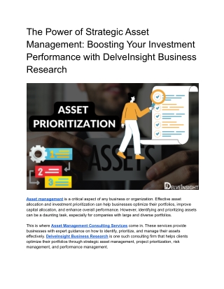 Asset Priortization Consulting Ssrvices