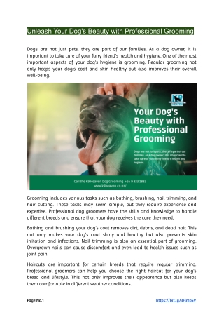 Unleash Your Dog's Beauty with Professional Grooming