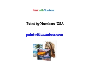 paint by numbers USA
