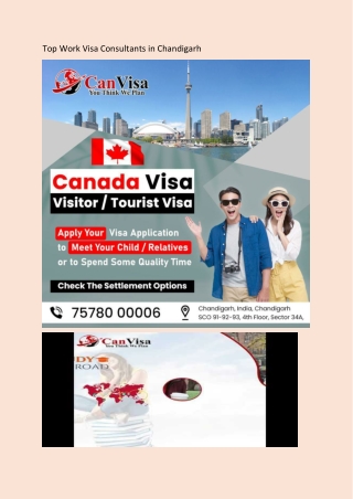 Top Work Visa Consultants in Chandigarh