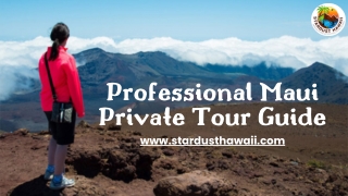 Professional Maui Private Tour Guide | Stardust Hawaii