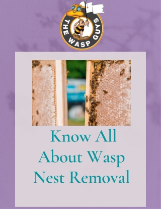 _Know All About Wasp Nest Removal