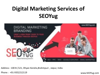 seo company in jaipur