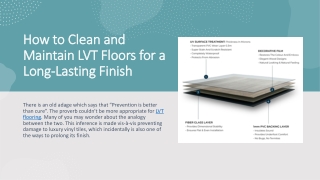 How to Clean and Maintain LVT Floors for a Long-Lasting Finish_