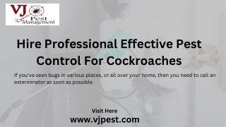 Get the Effective Pest Control For Cockroaches at VJ Pest Management