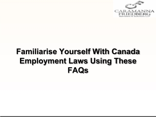 Familiarise Yourself With Canada Employment Laws Using These FAQs