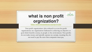 what is non profit orgnization usa ppt